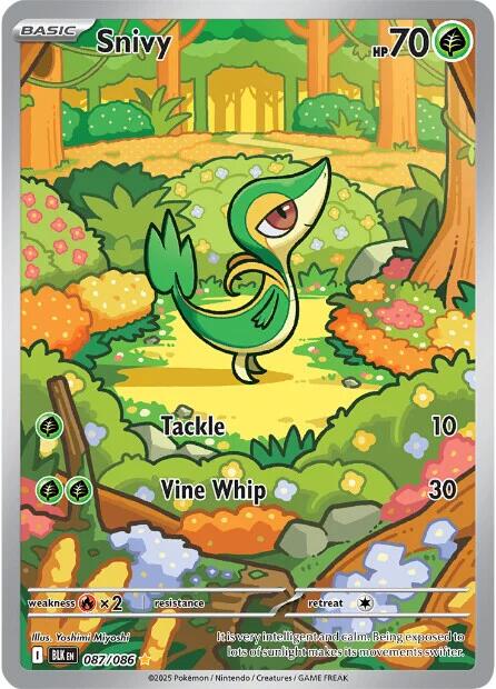 Snivy [087/086] [Black Bolt] Holofoil