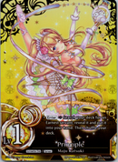 Principle - BP04-051EN-1