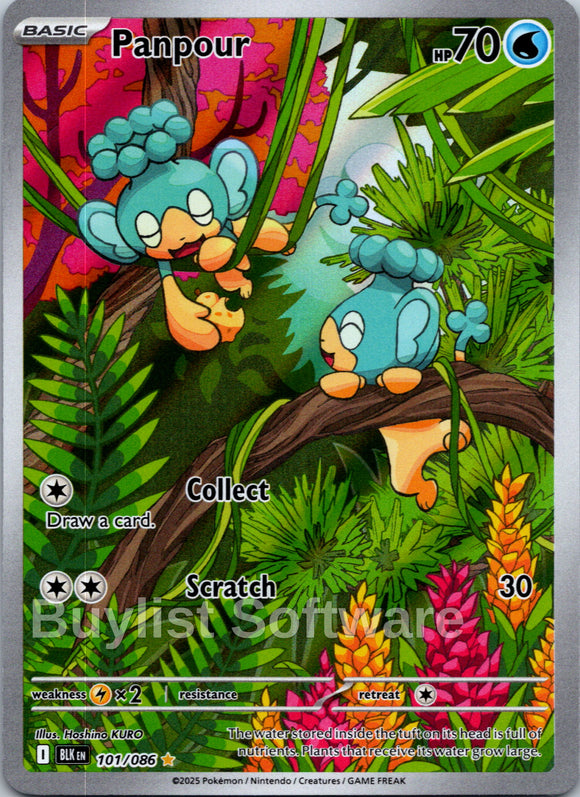 Panpour [101/086] [Black Bolt] Holofoil