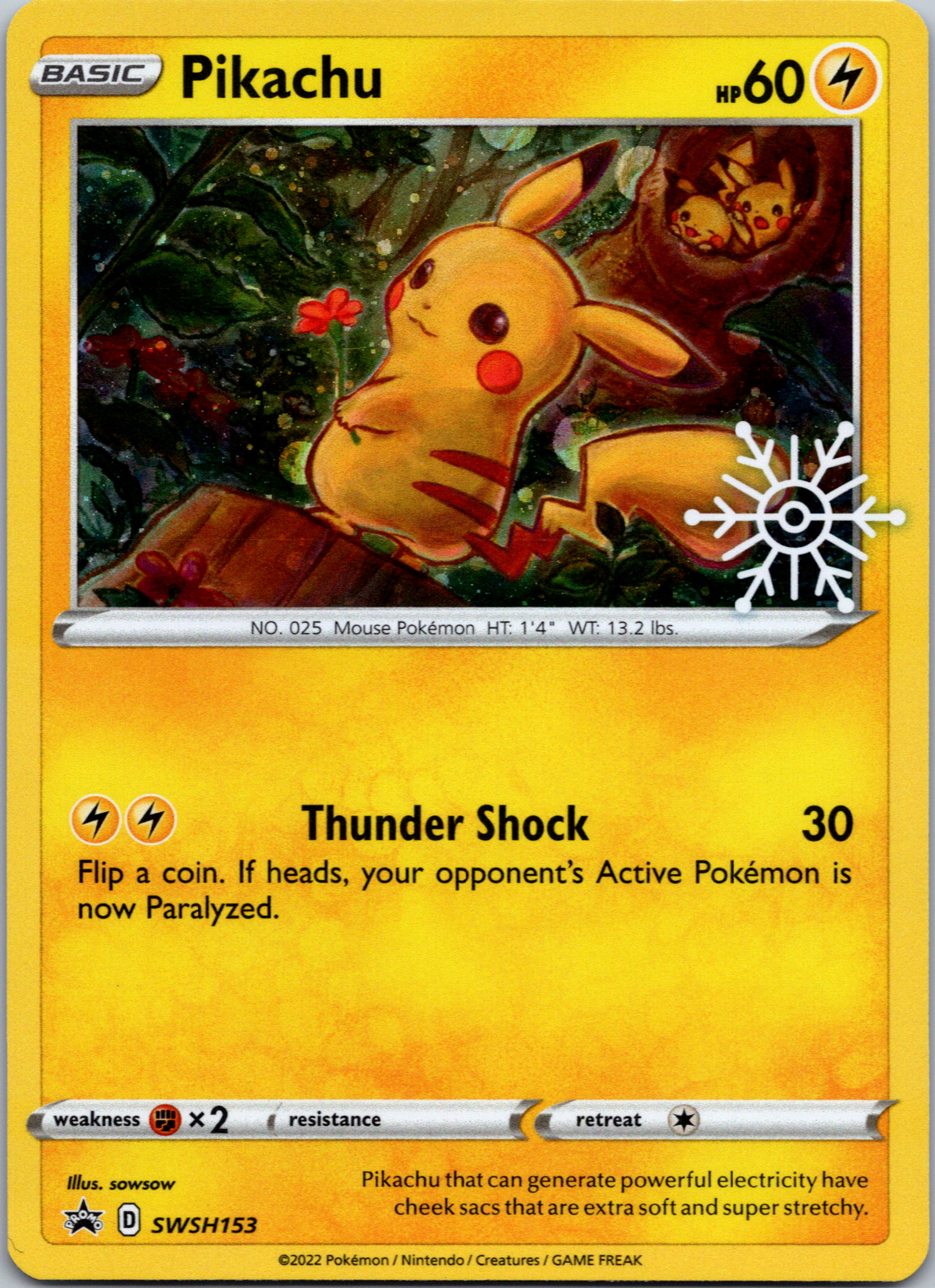 Pikachu (SWSH153) (Holiday Calendar) [Sword & Shield: Black Star Promos]