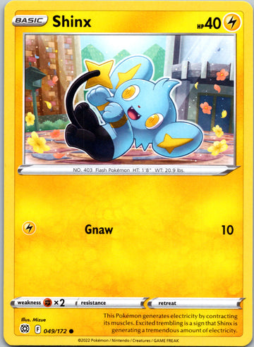 Shinx [049/172] [Brilliant Stars] Reverse Holofoil