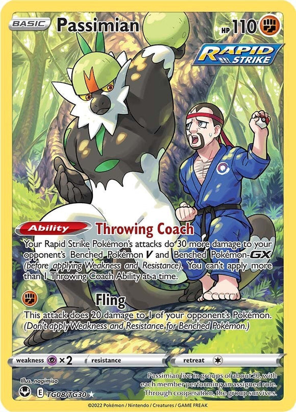 Passimian [TG08/TG30] [Silver Tempest Trainer Gallery] Holofoil