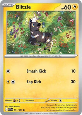 Blitzle [031/086] [White Flare]