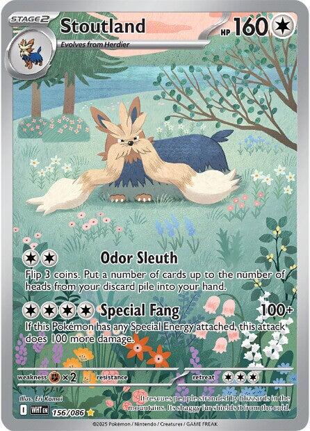 Stoutland [156/086] [White Flare] Holofoil