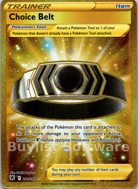 Choice Belt