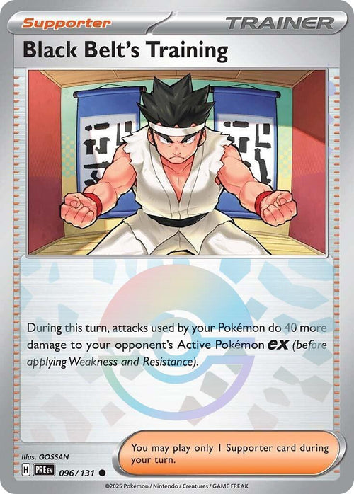 Black Belt's Training (Poke Ball Pattern)