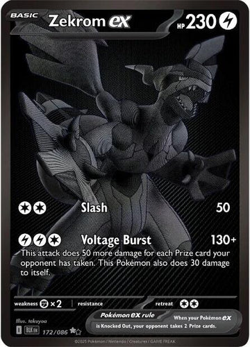 Zekrom ex