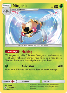 Ninjask (30/214) [Sun & Moon: Lost Thunder] - Duel Kingdom