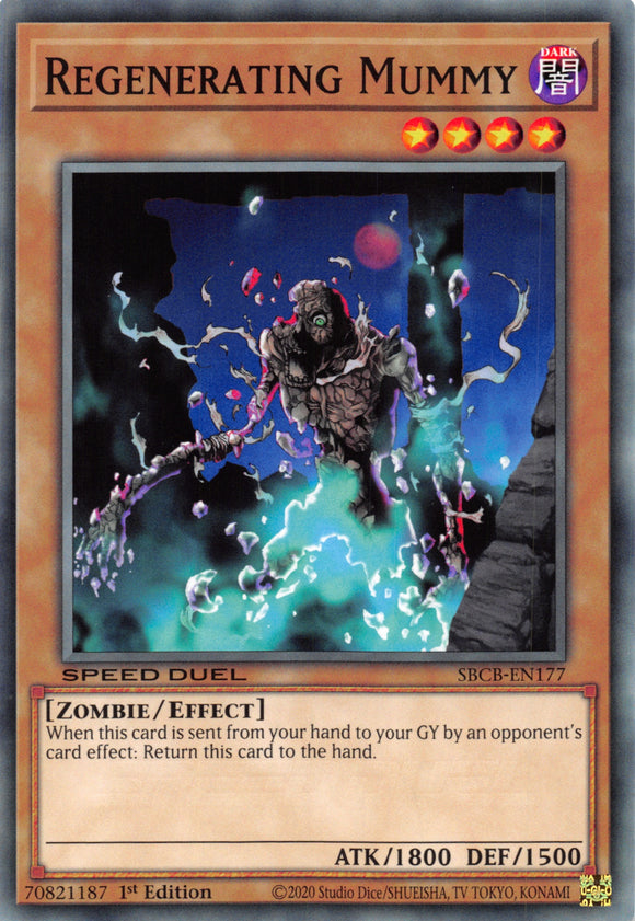 Regenerating Mummy [SBCB-EN177] Common - Duel Kingdom